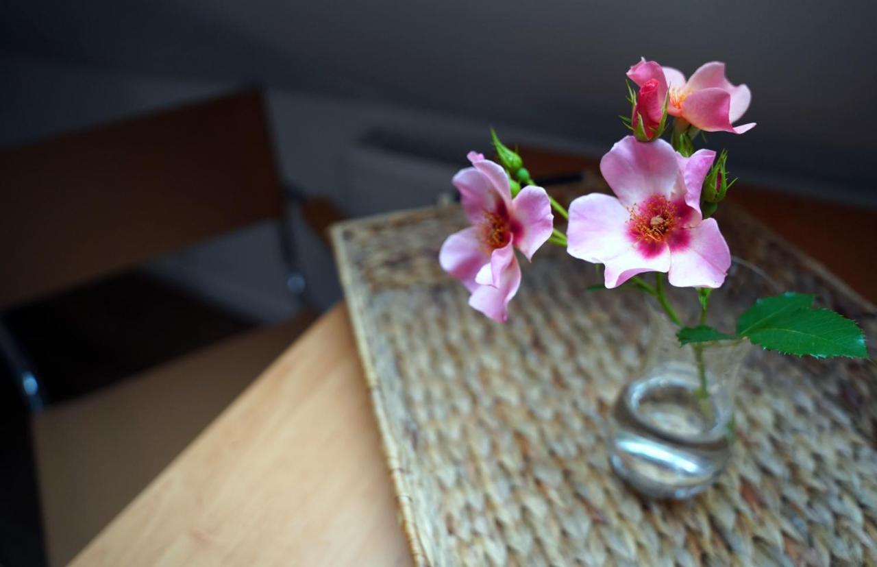 Appartement Altstadt Fereienwohnung Hameln Hamelin